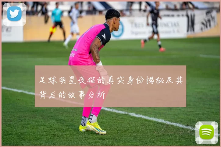 足球明星夜猫的真实身份揭秘及其背后的故事分析