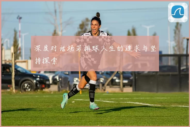 深度对话杨芳排球人生的追求与坚持探索