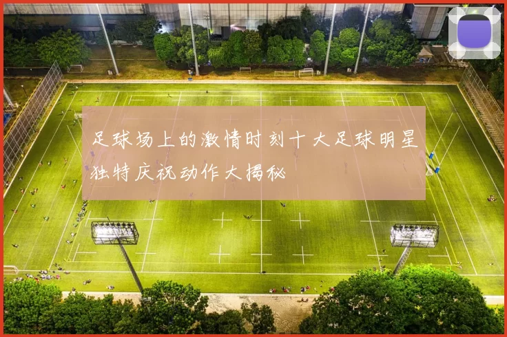 足球场上的激情时刻十大足球明星独特庆祝动作大揭秘