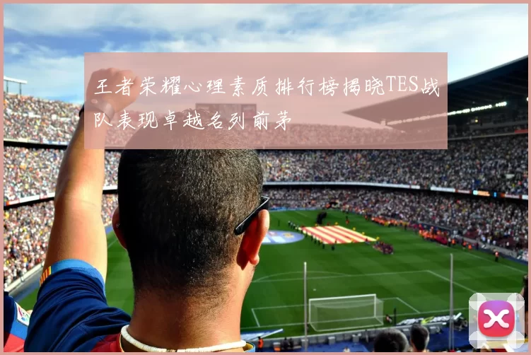 王者荣耀心理素质排行榜揭晓TES战队表现卓越名列前茅