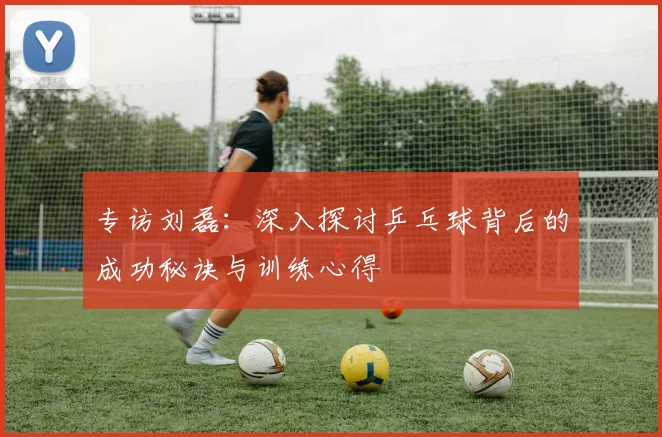 专访刘磊：深入探讨乒乓球背后的成功秘诀与训练心得