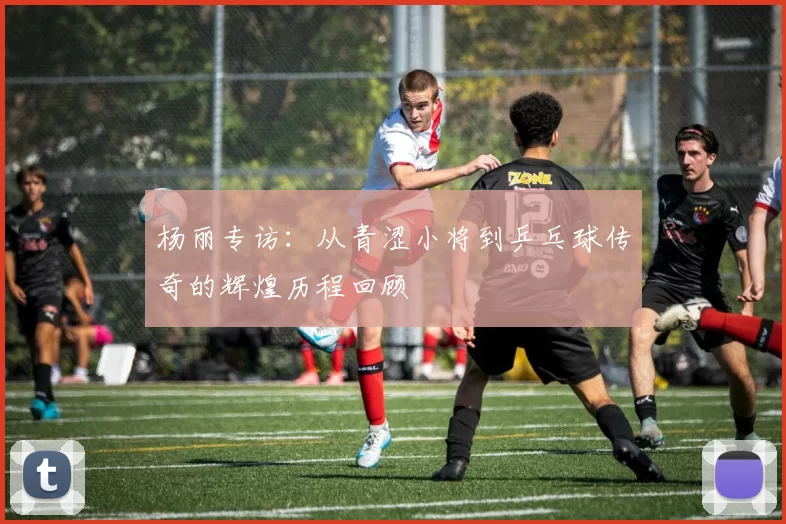 杨丽专访：从青涩小将到乒乓球传奇的辉煌历程回顾
