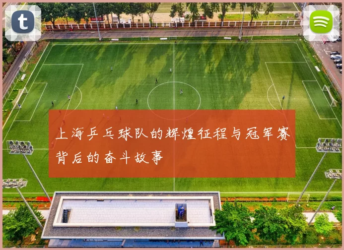 上海乒乓球队的辉煌征程与冠军赛背后的奋斗故事