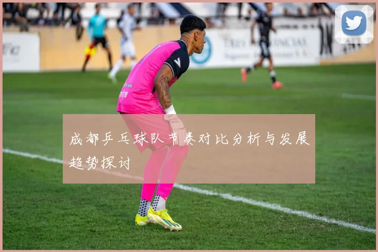 成都乒乓球队节奏对比分析与发展趋势探讨