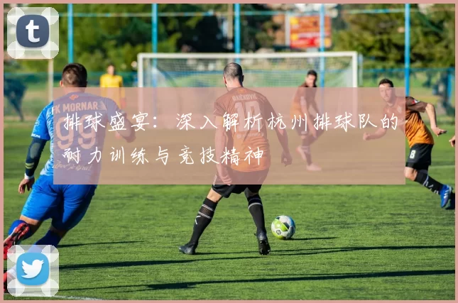 排球盛宴：深入解析杭州排球队的耐力训练与竞技精神