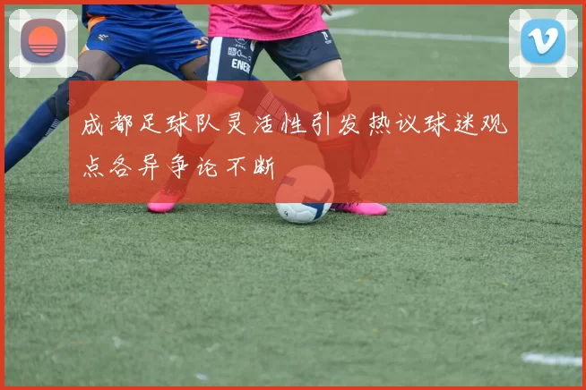成都足球队灵活性引发热议球迷观点各异争论不断