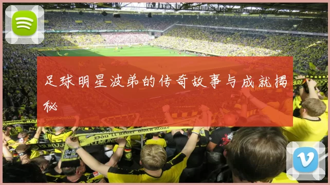 足球明星波弟的传奇故事与成就揭秘
