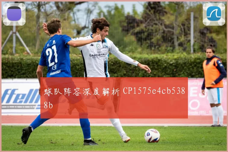 球队阵容深度解析 CP1575e4cb5388b