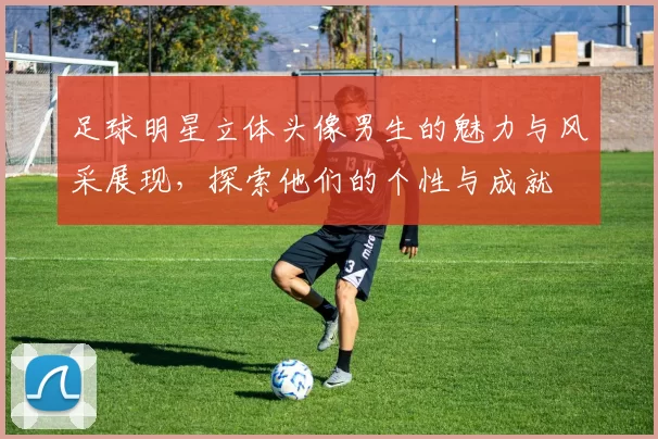 足球明星立体头像男生的魅力与风采展现，探索他们的个性与成就