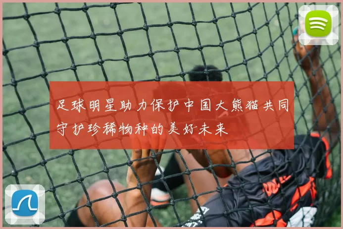 足球明星助力保护中国大熊猫共同守护珍稀物种的美好未来