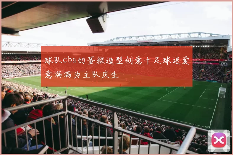 球队cba的蛋糕造型创意十足球迷爱意满满为主队庆生