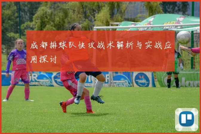 成都排球队快攻战术解析与实战应用探讨
