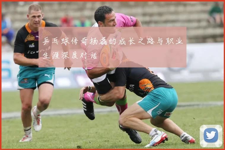 乒乓球传奇杨磊的成长之路与职业生涯深度对话
