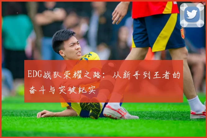 EDG战队荣耀之路：从新手到王者的奋斗与突破纪实
