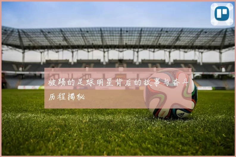 被踢的足球明星背后的故事与奋斗历程揭秘