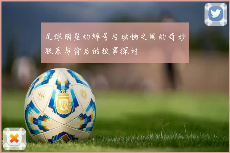 足球明星的绰号与动物之间的奇妙联系与背后的故事探讨