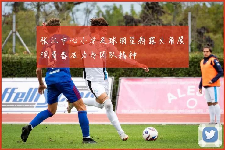 张江中心小学足球明星崭露头角展现青春活力与团队精神