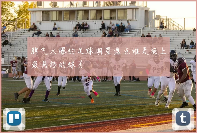 脾气火爆的足球明星盘点谁是场上最易怒的球员
