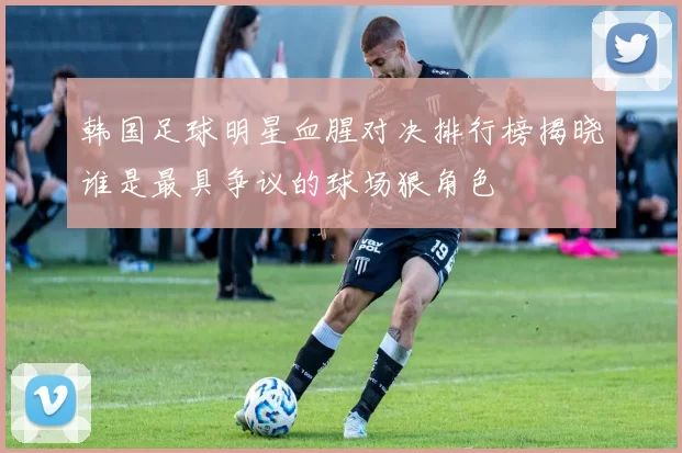 韩国足球明星血腥对决排行榜揭晓谁是最具争议的球场狠角色