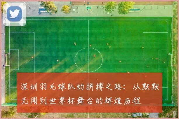 深圳羽毛球队的拼搏之路：从默默无闻到世界杯舞台的辉煌历程