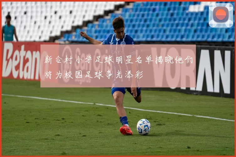 新合村小学足球明星名单揭晓他们将为校园足球争光添彩