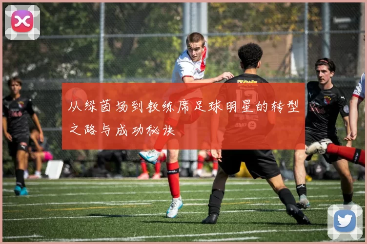 从绿茵场到教练席足球明星的转型之路与成功秘诀