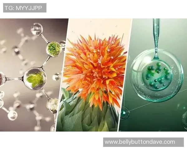 周强专访：揭示网球界成功背后的秘诀与心路历程