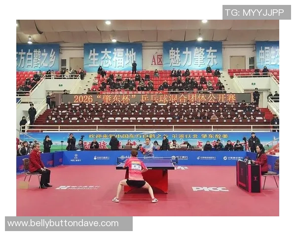 广州乒乓球队实力分析与发展潜力探讨聚焦乒乓球运动的未来方向